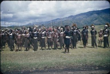 Tengerap Clan waiting for pay for work on the airstrip, one man in the foreground, wearing a white belt : Minj Station, Wahgi Valley, Papua New Guinea, 1954 / Terence and Margaret Spencer