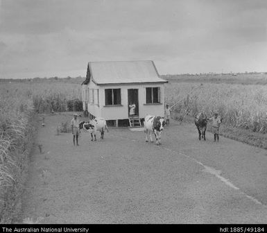 Indian farmer's house