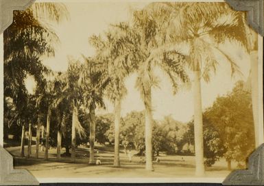 Government House grounds, Suva, 1928