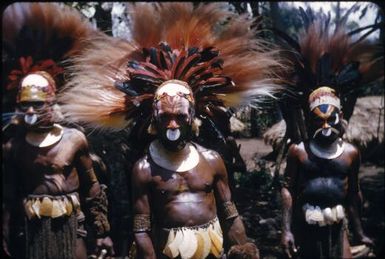 Fully decorated men (7) : The Tengerap Clan Singsing, Wahgi Valley, Papua New Guinea, 1954 / Terence and Margaret Spencer