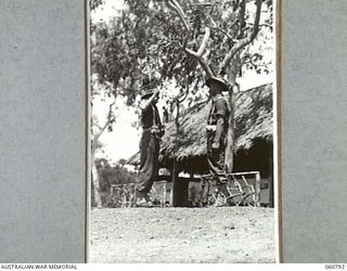 POM POM VALLEY, NEW GUINEA. 1943-11-27. SX1323 WARRANT OFFICER 1. J. G. PERCIVAL (1) REGIMENTAL SERGEANT MAJOR TO THE CHAMPION GUARD UNIT OF THE 2/10TH AUSTRALIAN INFANTRY BATTALION, 18TH ..