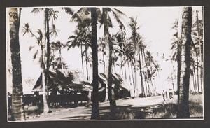 [Road Along the Bay]