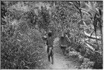 Women carry netbags of food and firewood on trail below garden clearing