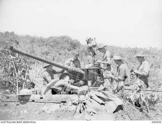 KAKAKOG, NEW GUINEA, 1943-11-07. TROOPS OF THE 12TH BATTERY, 2/4TH AUSTRALIAN LIGHT ANTI-AIRCRAFT REGIMENT DOING MAINTENANCE ON THEIR 40MM BOFORS GUN. SHOWN ARE: VX68580 GUNNER W. H. ALLEN OF ..