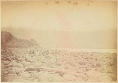 Norfolk Island Rocky Shore