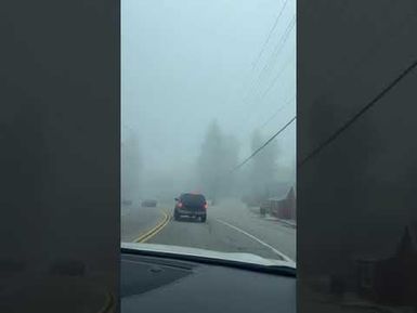 BIG BEAR PARK TRIP 2025: San Bernardino National Park 🏞️ California State USA 🇺🇸