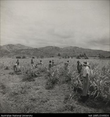 Officers instructing Farmers