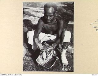 KIARIVU, NEW GUINEA, 1945-08-12. A NATIVE COOK MIXING UP WHEATMEAL CAKES FOR AUSTRALIAN NEW GUINEA ADMINISTRATIVE UNIT NATIVES WHO ARE WORKING ON THE BUILDING OF THE AUSTRALIAN NEW GUINEA ..