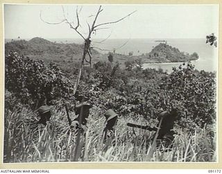 KARAWOP AREA, NEW GUINEA. 1945-04-19. MEMBERS OF 2/1 INFANTRY BATTALION MOVING FORWARD THROUGH COUNTRY CLEARED BY THEIR BATTALION, WHERE 6 DIVISION PATROLS ARE SEEKING OUT THE JAPANESE AND CLEARING ..