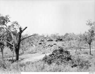 PORT MORESBY AREA, 1943-09-14. THE SCENE AFTER A CRASH OF A LIBERATOR BOMBER ON THE MARSHALLING PARK AT JACKSON'S AIRFIELD ON THE 09-07. THE AIRCRAFT HIT THE TREE SHOWN IN THE LEFT FOREGROUND AND ..