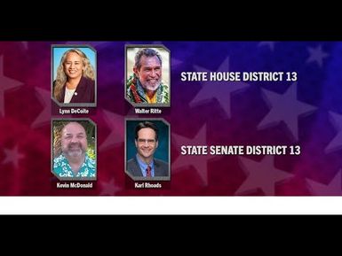 Election 2020: Democratic State House District 13 & State Senate District 13|INSIGHTS ON PBS HAWAI'I