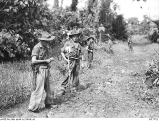 WEWAK AREA, NEW GUINEA, 1945-07-03. GUNNER H.W. SANDS (1), MEASURES BY CHAIN TO A WAD SET BY GUNNER S.J. BROWN (2). THE MEN, MEMBERS OF 2/6 SURVEY BATTERY, ROYAL AUSTRALIAN ARTILLERY, PROVIDE ..