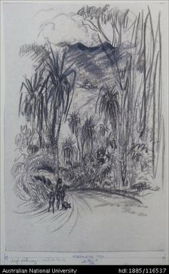Jungle pathway - Central N.G