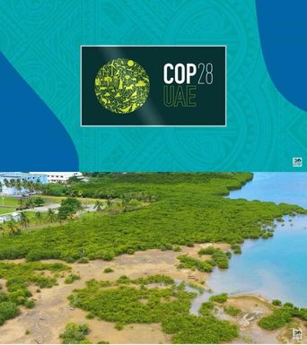 Samoa's treeplaning initiative showcased at COP28.