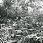 A phosphate deposit mining site, atoll of Makatea