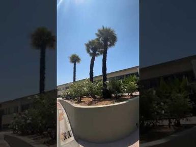BULA FROM CALSTATE LA- Summer time Sharing
