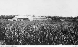 Bitapaka, New Britain. c. 1914. The wireless station as it appeared at the time of Allied occupation on 1914-09. Construction was completed by the Australian Military Administration. (Donor J.R. ..