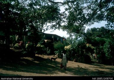 Views through Rabia Camp - looking along main path