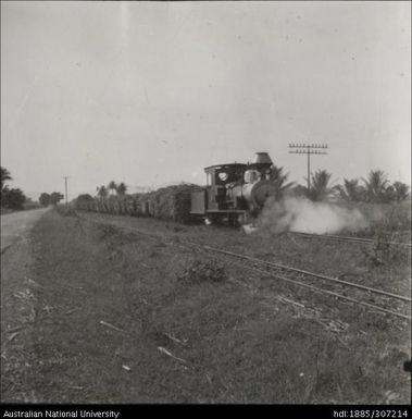 Cane Train