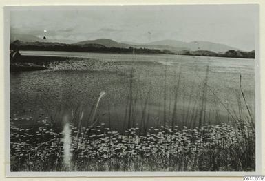 ["fotografi, photograph"]