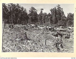 SORAKEN, BOUGAINVILLE. 1945-06-05. THE GUN POSITIONS OF F TROOP, 4 FIELD REGIMENT NEAR H BEACH