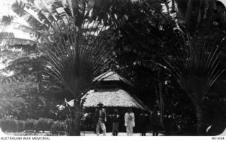 RABAUL, NEW BRITAIN. C. 1916. SCENE IN THE BOTANIC GARDENS. THE LARGE PLANTS IN THE FOREGROUND ARE RAVANALA MADAGASCARIENSIS