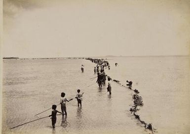 Fishing on the reef - High Tide