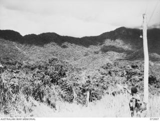 ILOLO - KOKODA, NEW GUINEA. 1944-04-30. A NATIVE ALONGSIDE THE POLE IN THE RIGHT FOREGROUND POINTS FROM THE TRACK ASCENDING IORIBAIWA RIDGE TO THE TRACK ASCENDING IMITA RIDGE AT THE LEFT OF THE ..