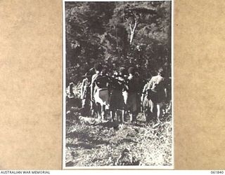 KOKODA TRAIL, NEW GUINEA. 1943-12-19. MEN OF THE 2/9TH AUSTRALIAN INFANTRY BATTALION AND NATIVE CARRIERS ACTING AS EXTRAS DURING THE FILMING OF "RATS OF TOBRUK" BY CHAUVEL'S PRODUCTIONS