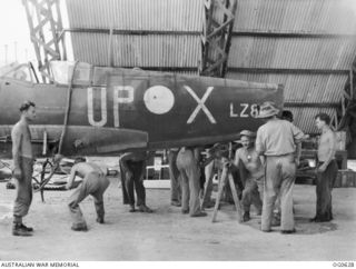 KIRIWINA, TROBRIAND ISLANDS, PAPUA. 1944-01-31. INSIDE THE HANGAR OF NO. 12 REPAIR AND SALVAGE UNIT RAAF BEHIND THE BATTLE LINE, RAAF GROUND STAFF LIFT THE FUSELAGE OF A SPITFIRE AIRCRAFT, CODED ..