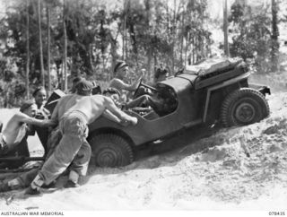 MOTUPINA POINT AREA BOUGAINVILLE ISLAND. 1945-01-19. PERSONNEL OF THE 2ND FIELD REGIMENT, MANHANDLING A JEEP AND TRAILER WHICH HAS BECOME BOGGED IN THE LOOSE SAND. IDENTIFIED PERSONNEL ARE:- ..