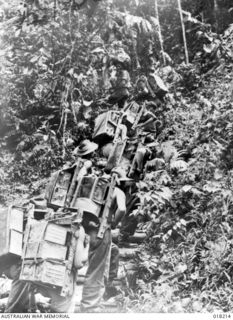 Aitape Sector, New Guinea. 2 March 1945. Members of the 'white boong train' struggle up the 846 steps of the "Golden Stairway" near But with water supplies for troops in the mountains strapped to ..