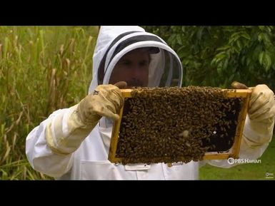 The Next Generation of Hawaiʻi's Beekeepers