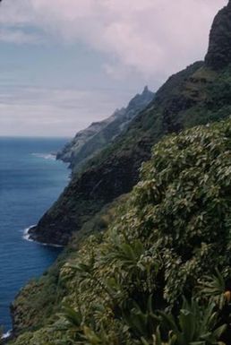 [Sea view and Na Pali-Kona Forest, United States]