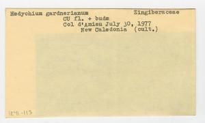 [Hedychium gardnerianum in New Caledonia, envelope IE41-113]