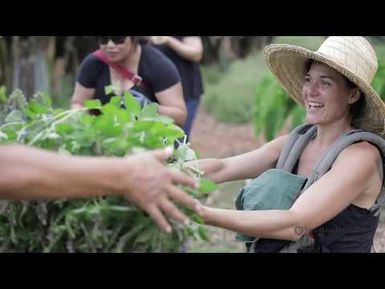 PBS Hawai‘i - HIKI NŌ Aired 06/06/19 | Maui High School | The Maui Farm
