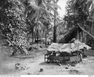 BOUGAINVILLE, 1945-06-07. HEADQUARTERS OF B TROOP, 2/8 COMMANDO SQUADRON AT NAIRONA, AND OLD NATIVE VILLAGE SITE. THEY ARE USING THE KARAMUT (SING-SING) HOUSE AS A MESS HUT AND CONSTRUCTED SMALL ..