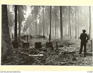 1943-01-14. PAPUA. GIROPI POINT. ALLIED SOLDIERS MOVE THROUGH ALL THAT WAS LEFT OF THE JAPANESE H.Q. FIELD KITCHEN IN A CLEARING AMONG PALM TREES