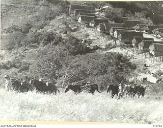 A TYPICAL NEW GUINEA VILLAGE. IN THE FOREGROUND IS A HORSE-TEAM SETTING OUT FOR AN ALLIED OUTPOST WITH SUPPLIES. (NEGATIVE BY PARER)