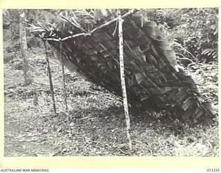 MENARI, NEW GUINEA. 1944-04-05. A LEAN-TO THATCHED WITH BANANA LEAVES, CONSTRUCTED AS A SPECIMEN FOR VX76415 LIEUTENANT R. B. EWERS, OFFICIAL WAR ARTIST, MILITARY HISTORY SECTION