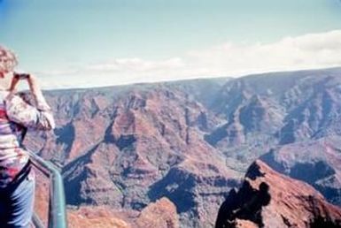 [Woman Looking Out at Waimea Canyon]