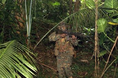 US Marine Corp (USMC) Private First Class (PFC) John P. Carkoski, 3rd Battalion, 3rd Marine Regiment, patrols, with his 5.56 mm M16A2 rifle at the ready, through the dense foliage at training area on the island of Oahu, Hawaii (HI)