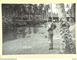 MILNE BAY, NEW GUINEA. 1944-04-20. NATIVES POLING CANOES LOADED WITH SAC-SAC (SAGO PALM) ROOFING MATERIAL, AT THE BARAGA NATIVE LABOUR CAMP, AUSTRALIAN NEW GUINEA ADMINISTRATIVE UNIT