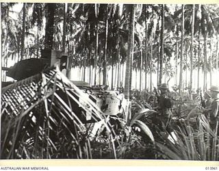 1942-12-28. PAPUA, GIROPA POINT AREA. AUSTRALIAN TANK AND INFANTRYMEN IN ACTION BEFORE THE FINAL ASSAULT ON BUNA. (NEGATIVE BY G. SILK.)