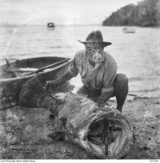 YULE ISLAND, NEW GUINEA, C. 1944-05-16. PRIVATE WATERSON, 1ST MARINE FOOD SUPPLY PLATOON, WHO CLEARS FISH TRAPS REGULARLY, DISPLAYS A LARGE GROPER TAKEN FROM ONE OF THE TRAPS