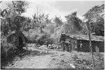 Rappaports' house and kitchen, Tsembaga, people hanging around