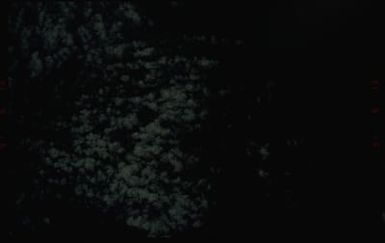 S40-42-031 - STS-040 - Earth observations