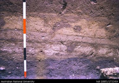 East end, North profile, showing sterile clay over basal 'midden'