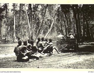 SONG RIVER AREA, NEW GUINEA. 1944-03-31. A PARADE GROUND AT A PAPUAN INFANTRY BATTALION BEING CLEARED AS NATIVE SOLDIERS SIT ON AN IMPROVISED GRADER OF LOGS AND WIRE WHICH IS TOWED BY A JEEP