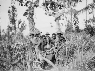 DAGUA, NEW GUINEA. 1945-03-27. 2/2 INFANTRY BATTALION STRETCHER BEARERS, ASSISTED BY NATIVES NEGOTIATING LOGS ON THE TRACK DURING THE FOUR HOUR CARRY OF THE WOUNDED FROM A FORWARD POSITION TO A ..